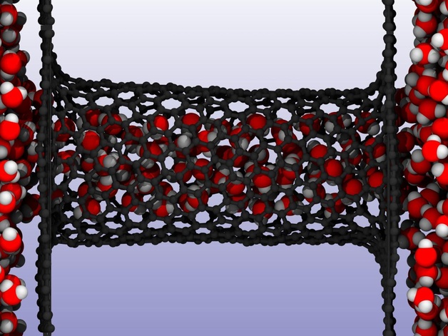 Water in carbon nanotube